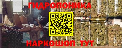 спиды Тара